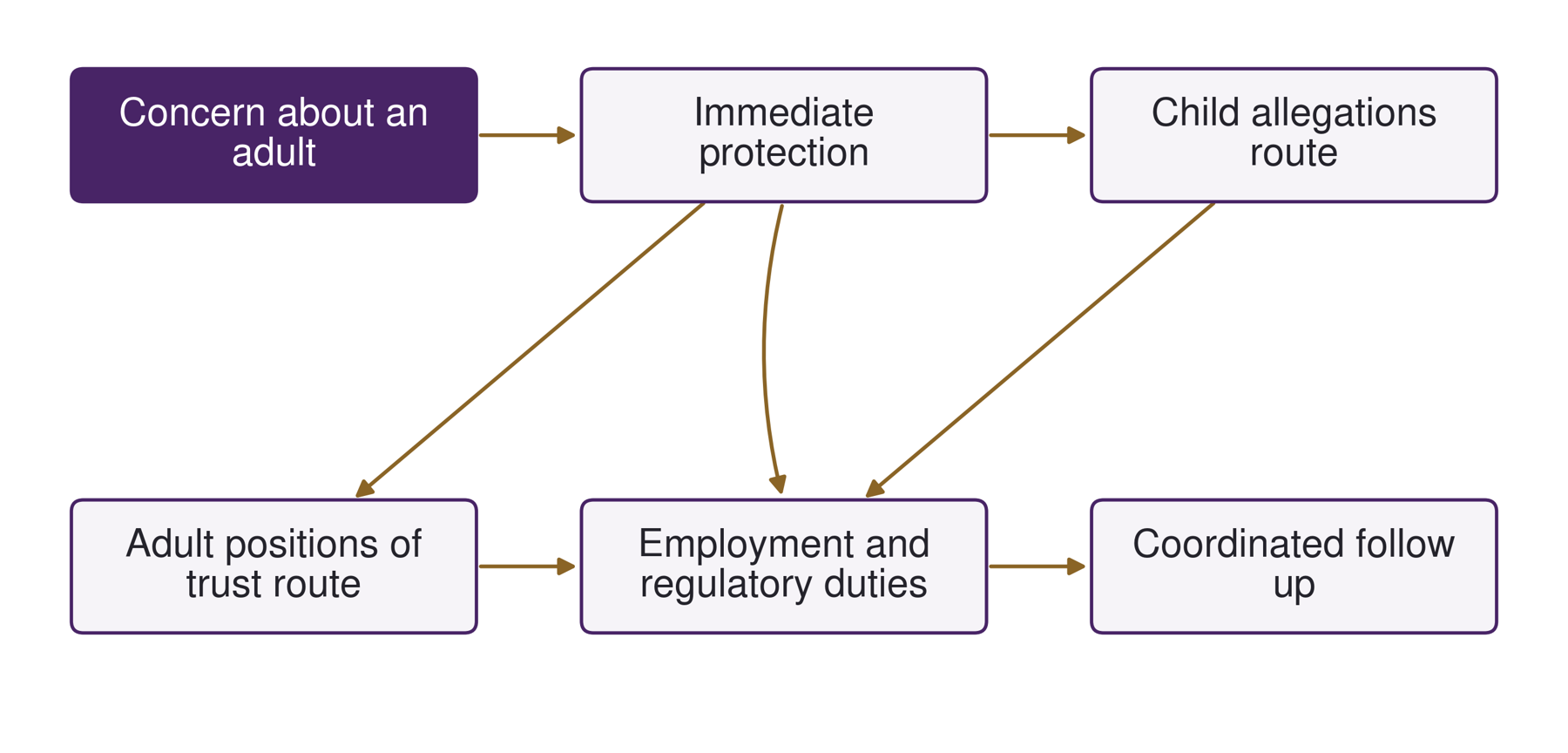 Allegations and protective accountability